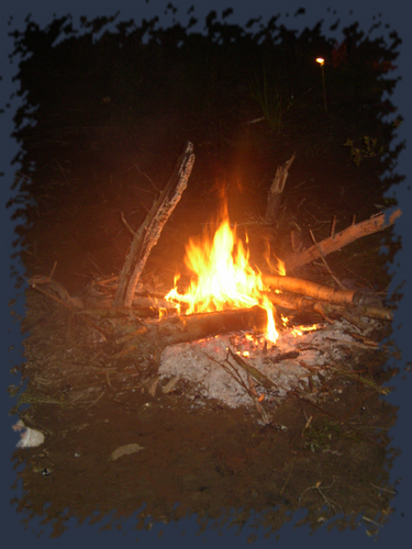 P1010156.png
